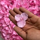 6 Cercas Florais Artificiais 60x40cm Painéis de Parede para E