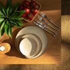 6 Facas Em Inox Laguiole Champagne