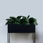 6 Folhagens De Orquídea Artificial De Silicone 26x35cm Planta