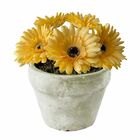 6 Gérberas Amarelas Artificiais Com Haste Flexível E Toque Re