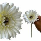6 Gérberas Brancas Artificiais Com Haste Flexível E Toque Rea