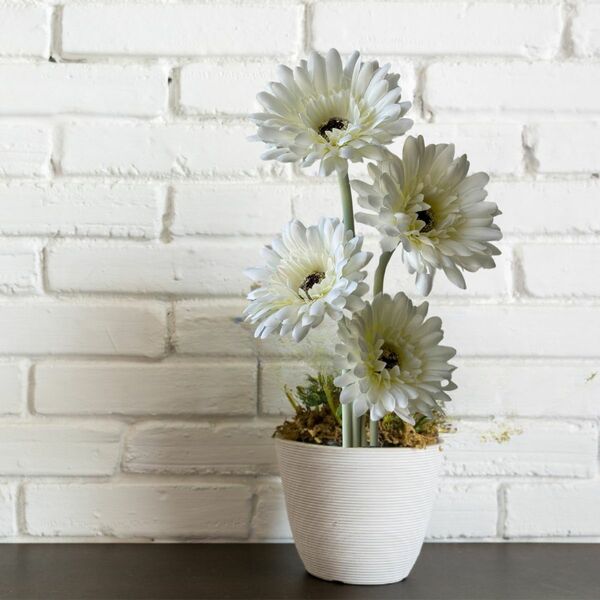 6 Gérberas Brancas Artificiais Com Haste Flexível E Toque Rea