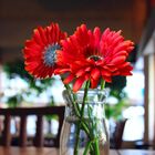 6 Gerberas Laranja Artificiais Com Haste Flexível E Toque Rea