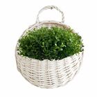 6 Mini Buquês de Eucalipto Artificial com 36 hastes total - P