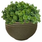 6 Picks De Mini Eucalipto Artificial (36 Hastes Total) - Idea