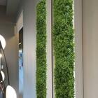 6 Placas Com Plantas Artificiais Decoração Exclusiva Folhagen