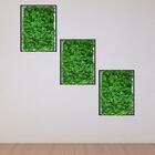 6 Placas De Folhagens Trevo Artificiais Para Decoração De Jar