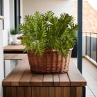 6 Plantas Artificiais Com Folhas Realistas Em Silicone Decora
