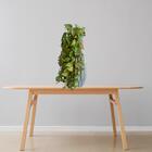 6 Plantas Artificiais Pendente Com Folhagem Premium Para Ambi