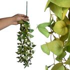 6 Plantas Artificiais Pendente Com Folhagem Premium Para Ambi