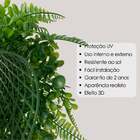 6 Quadros Verdes De Qualidade Superior - Samambaia Com Eucali