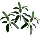 6 Unidades De Árvores Artificiais Com Qualidade Premium Para