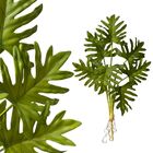 7 Buque De Guaimbê Artificial Em Silicone Plantas Realista Pa