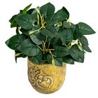 7 Buquês De Peperômias Artificiais Realistas Para Sala, Escri