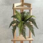 7 Buquês De Samambaias Artificiais 60x45 Realistas E Volumosa