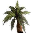 7 Buquês De Samambaias Artificiais 60x45 Realistas E Volumosa