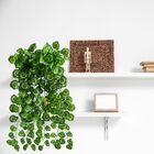 7 Conjuntos De Folhagens Artificiais 100x20 Pendente De Trepa