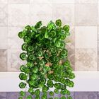 7 Conjuntos De Folhagens Artificiais 100x20 Pendente De Trepa