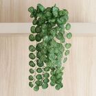 7 Conjuntos De Folhagens Artificiais 100x20 Pendente De Trepa