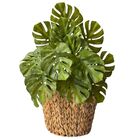 7 Costela De Adão Artificial Linha Luxo Buque Grande Verde 65