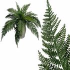 7 Folhagens Artificiais 50cm Samambaia Palmeira Permanente Id