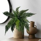 7 Folhagens Artificiais 50cm Samambaia Palmeira Permanente Id