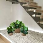 7 Folhagens Artificiais Fícus 45cm Folhas Verdes Silicone Par