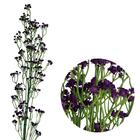 7 Galhos De Mosquitinho Roxo Artificial - Ideal Para Convites