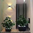 7 Hastes De Peperômia Artificial Para Compor Arranjos Naturai