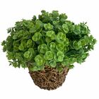 7 Maços De Eucalipto Artificial (6 Hastes Em Cada Maço) - Par