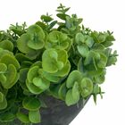 7 Maços De Eucalipto Artificial (6 Hastes Em Cada Maço) - Par