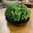 7 Maços De Plantas Artificiais (42 Hastes De Picks Ao Total)