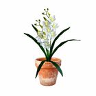 7 Orquídeas Artificiais Dançante 60cm - Perfeito Para Decoraç