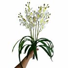 7 Orquídeas Artificiais Dançante 60cm - Perfeito Para Decoraç