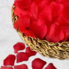 7 Pacotes De Pétalas Artificiais (2100 Unidades) – Decoração