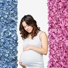 7 Painel Decorativo de Flores Artificiais 60x40cm Fundo Flora