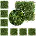 7 Quadros De Mini Buxinho Artificial 25x25cm Para Jardim Vert