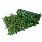 7 Quadros De Mini Buxinho Artificial 25x25cm Para Jardim Vert