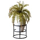 7 Samambaias Artificiais Com Galhos Ajustáveis Para Parede Ve