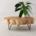 8 Arbustos De Folhagem Heliconia Verde Artificial - Folhagem