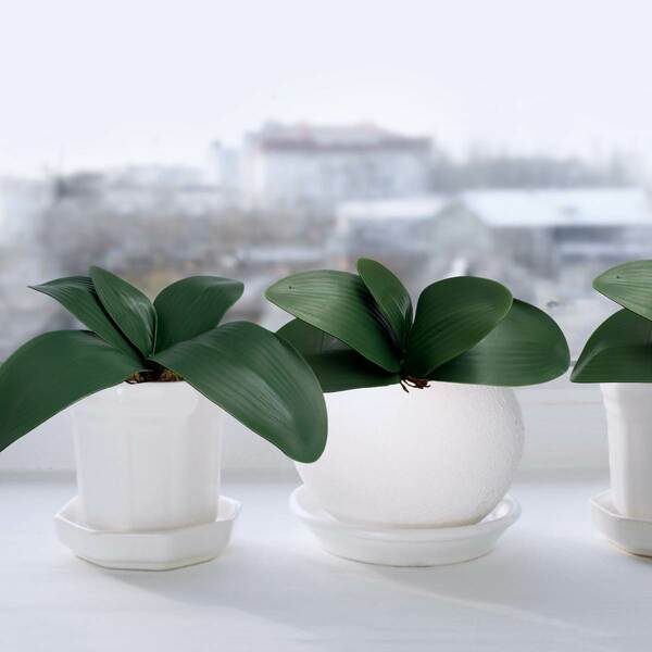 8 Folhas De Orquídea Artificial Verde - Plantas Realistas E R