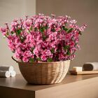 8 Galhos De Sakura Rosa Artificial Realista 60cm Para Decoraç