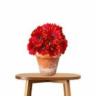 8 Gérberas Laranjas Artificiais De Haste Longa (55cm) Flores