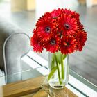 8 Gérberas Laranjas Artificiais De Haste Longa (55cm) Flores