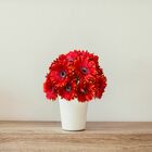 8 Gérberas Laranjas Artificiais De Haste Longa (55cm) Flores