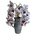 8 Orquídeas Artificiais Branca Com Detalhes Vinho (80cm) Para