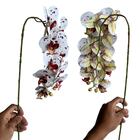 8 Orquídeas Artificiais Branca Com Detalhes Vinho (80cm) Para