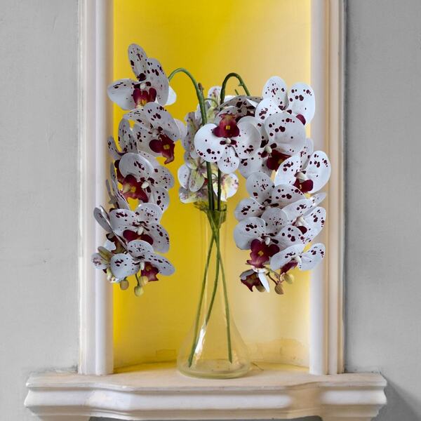 8 Orquídeas Artificiais Branca Com Detalhes Vinho (80cm) Para