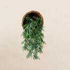 8 Pacotes De Folhagem Artificial De Chifre De Veado Perfeitos