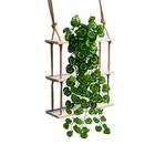 8 Pendentes De Folhagens De Begônia Variegata Artificiais Com